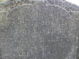 image of grave number 171732